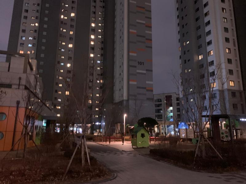 켈리