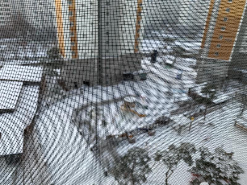 컨텐츠파일