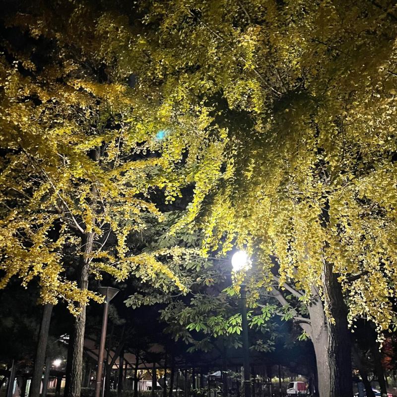 컨텐츠파일