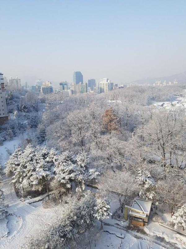 컨텐츠파일