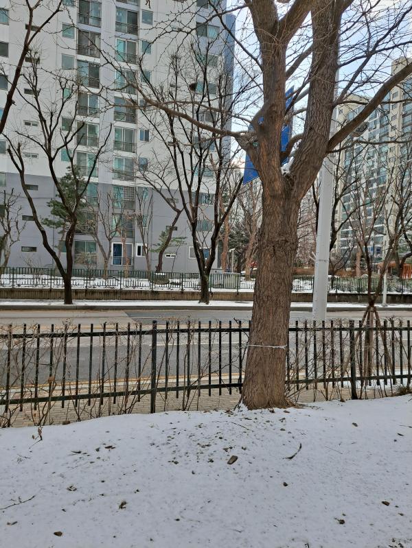 컨텐츠파일