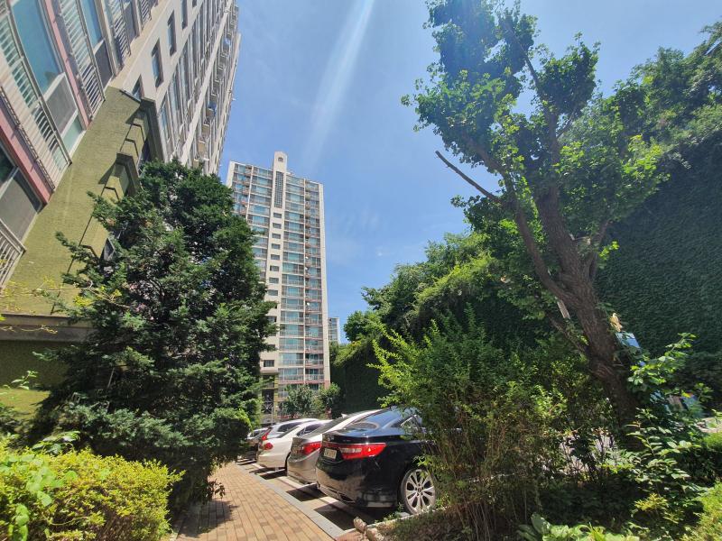 팩동산