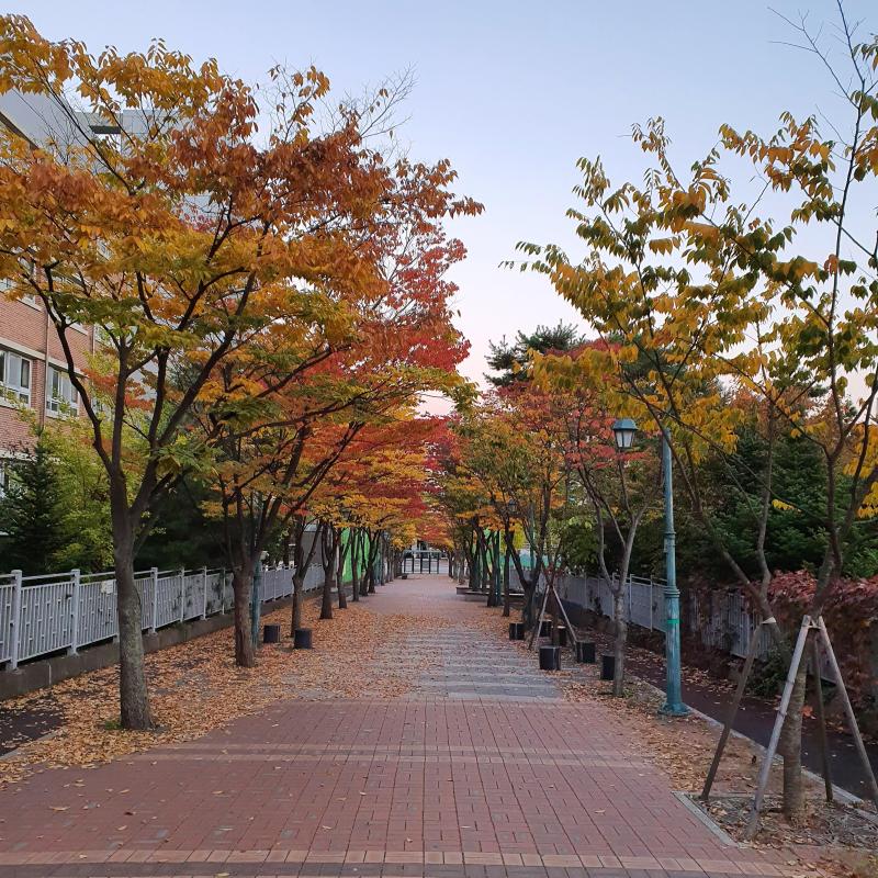 컨텐츠파일