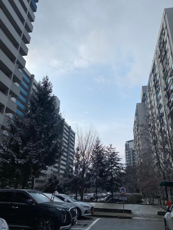 보라미보람