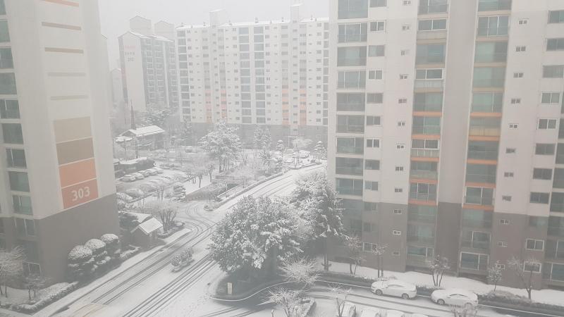 토니