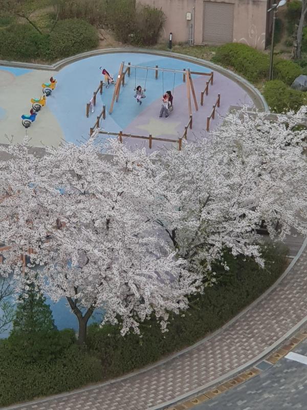 컨텐츠파일