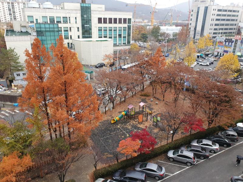 컨텐츠파일