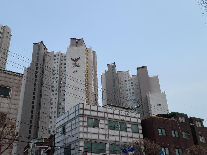 니비우스