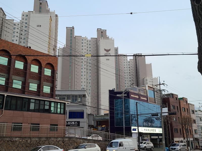니비우스