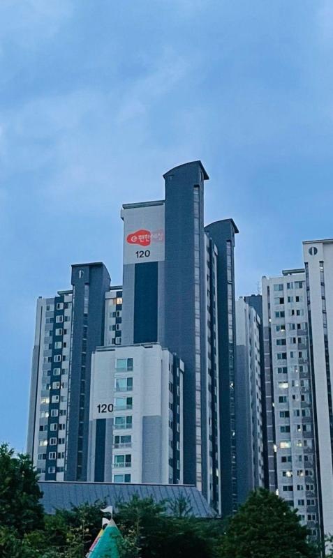 컨텐츠파일