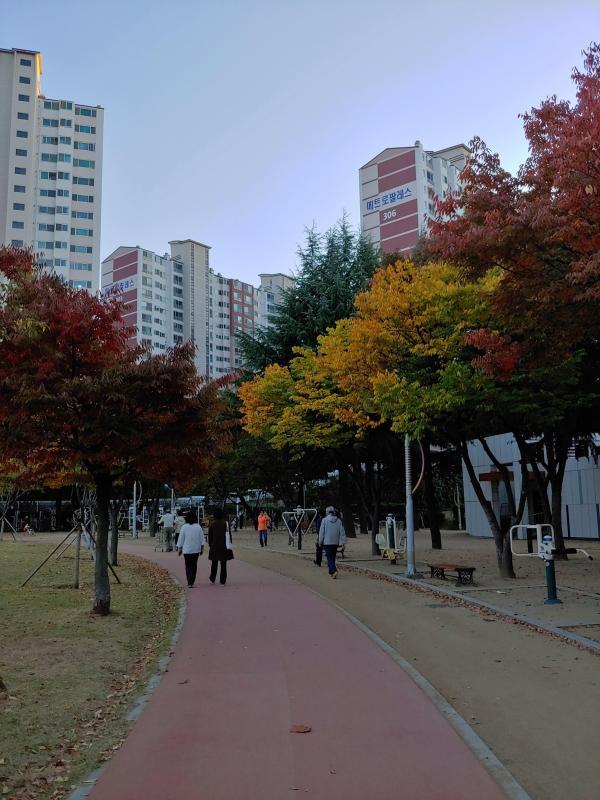 노가리즘