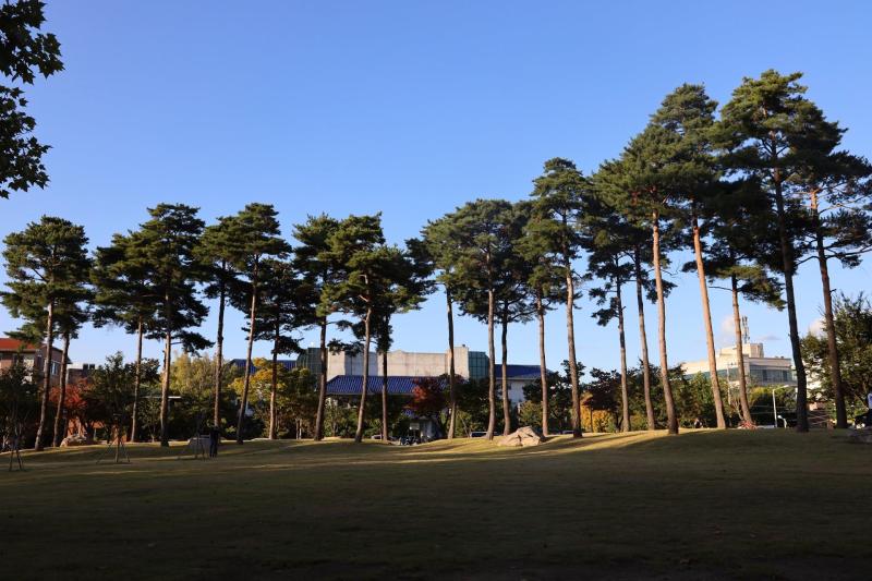 노가리즘
