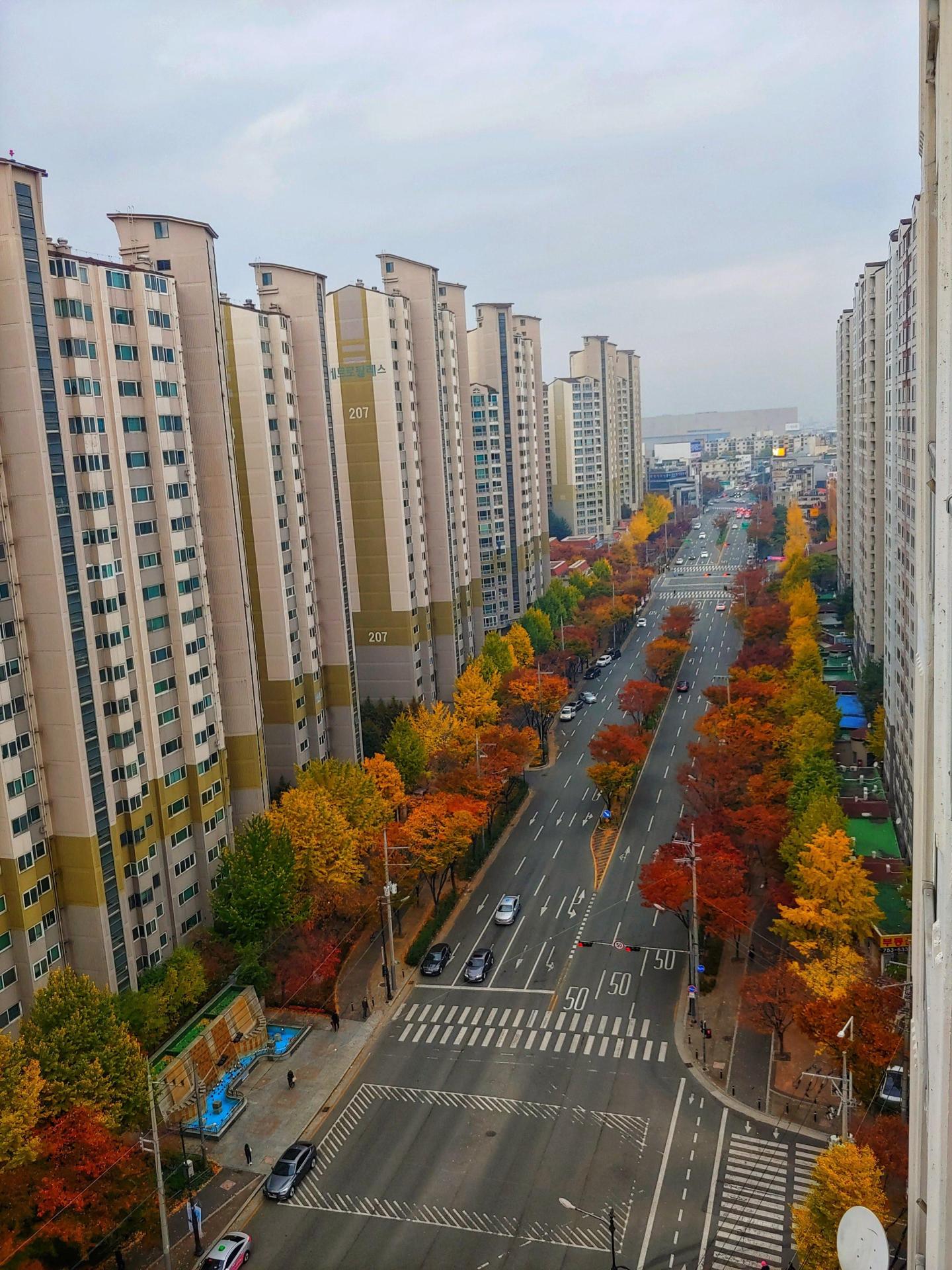 만촌동 메트로팔레스(5단지) 시세, 가격, 매매, 전세 | KB시세는 KB부동산 KB부동산