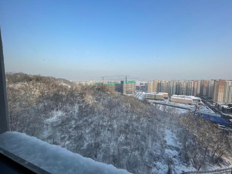 숲세권