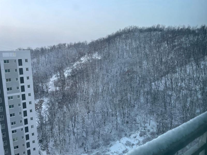 숲세권