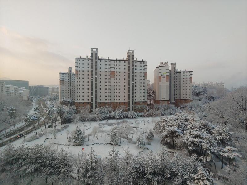 컨텐츠파일