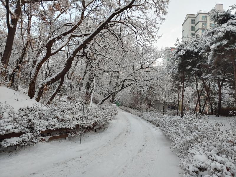 컨텐츠파일