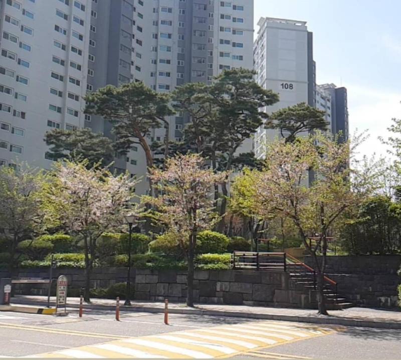 위브