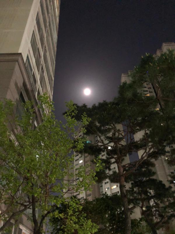 컨텐츠파일
