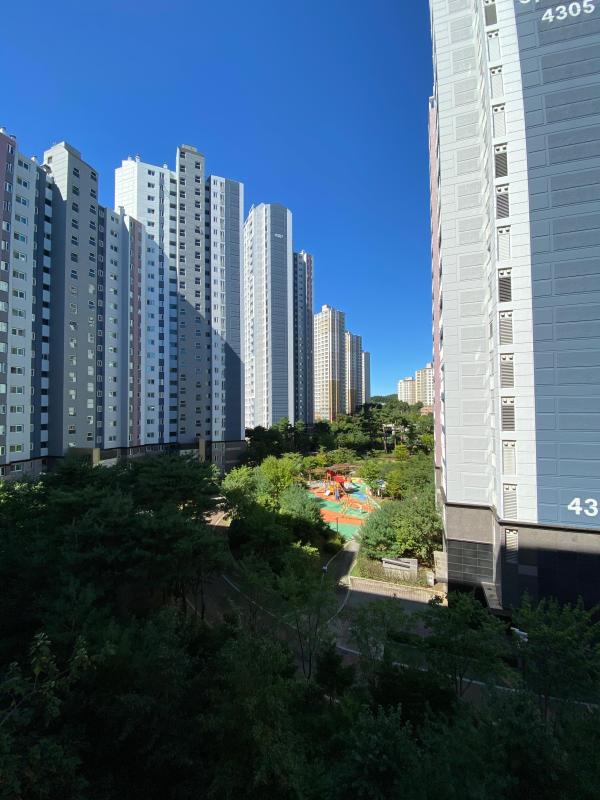 컨텐츠파일