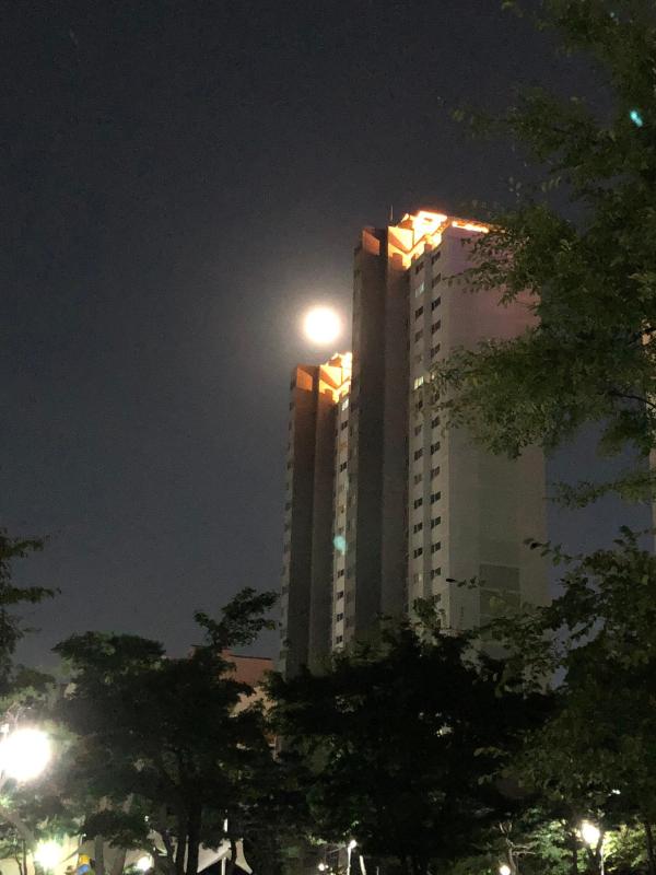 컨텐츠파일