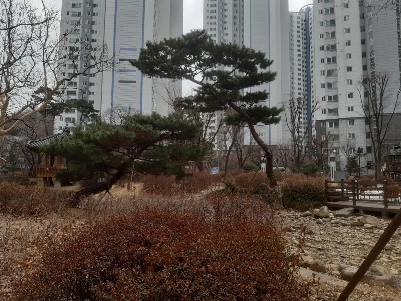 민트초코