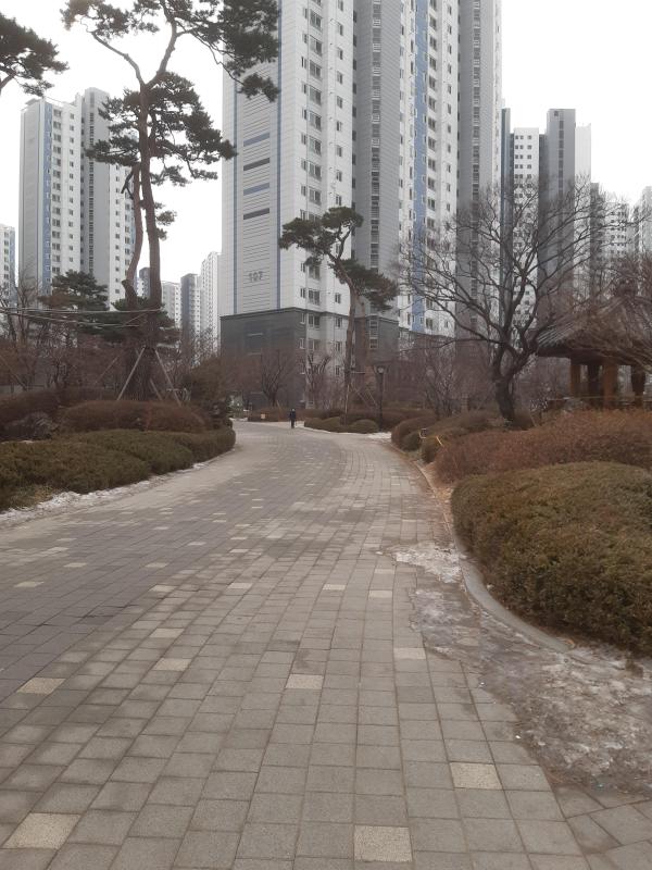 민트초코