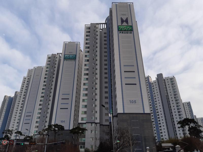민트초코