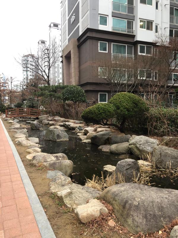 해피해피