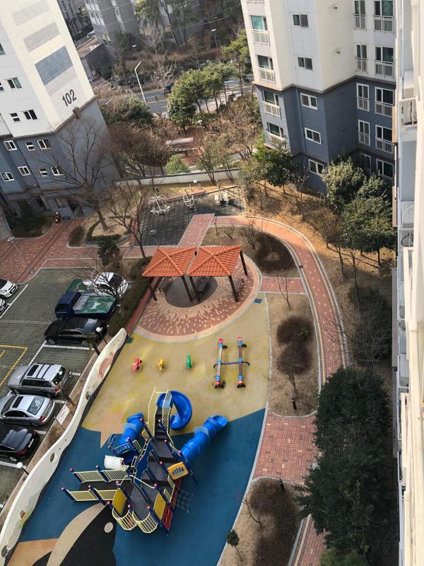 해피해피