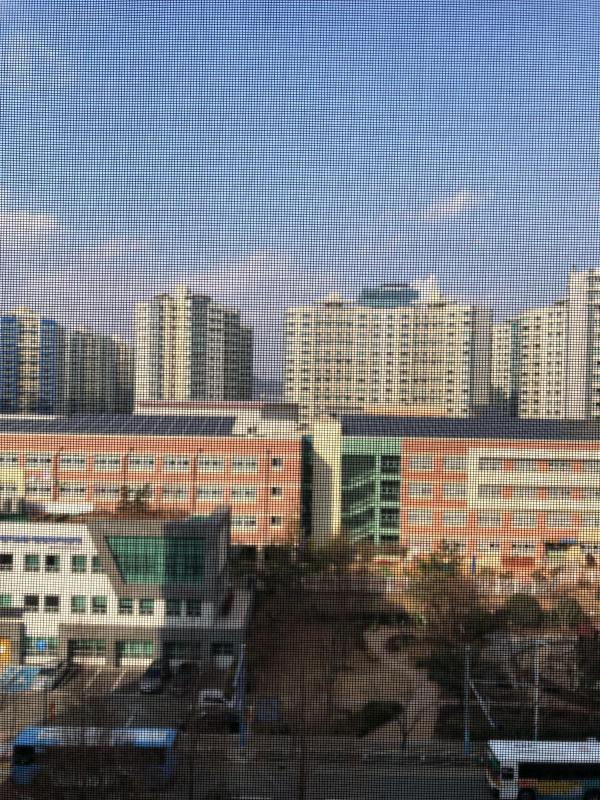 컨텐츠파일