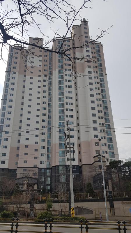제이비