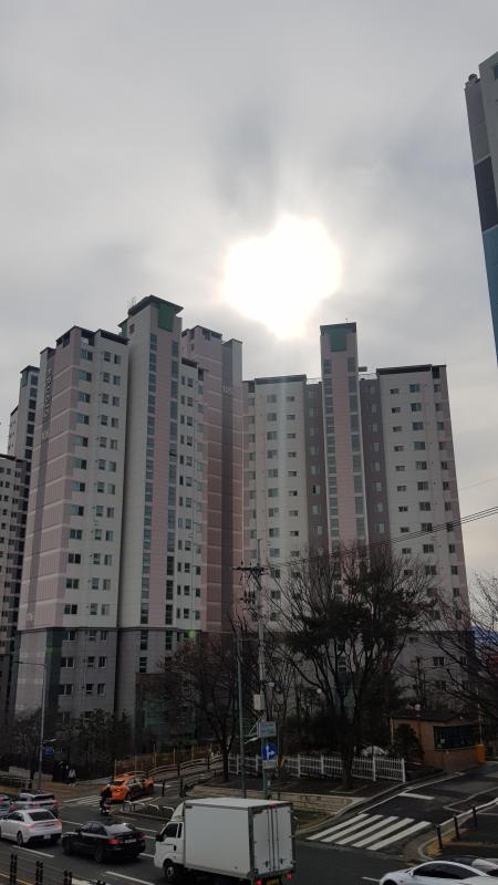컨텐츠파일