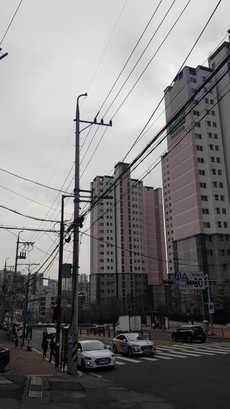 컨텐츠파일