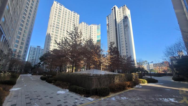 조이풀