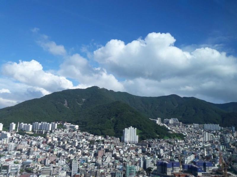 컨텐츠파일