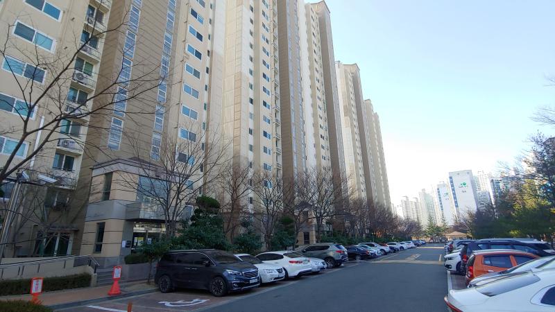 세렝게티