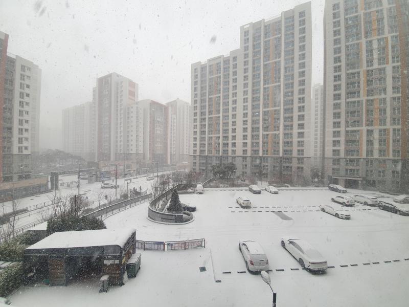 컨텐츠파일