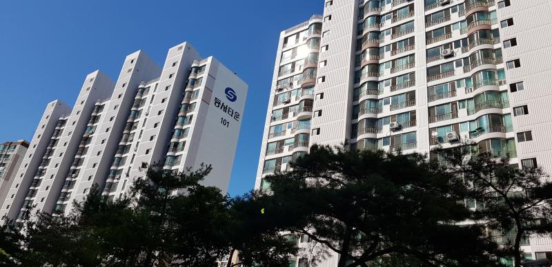 컨텐츠파일