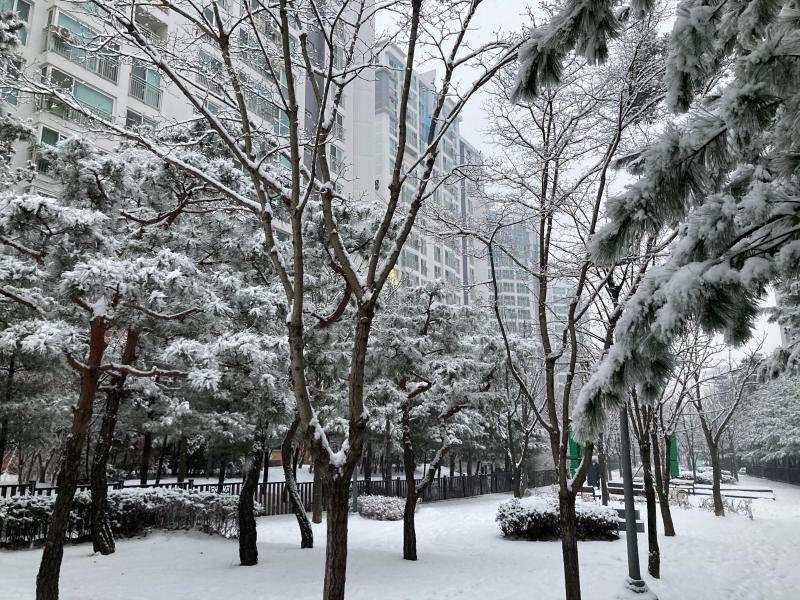컨텐츠파일