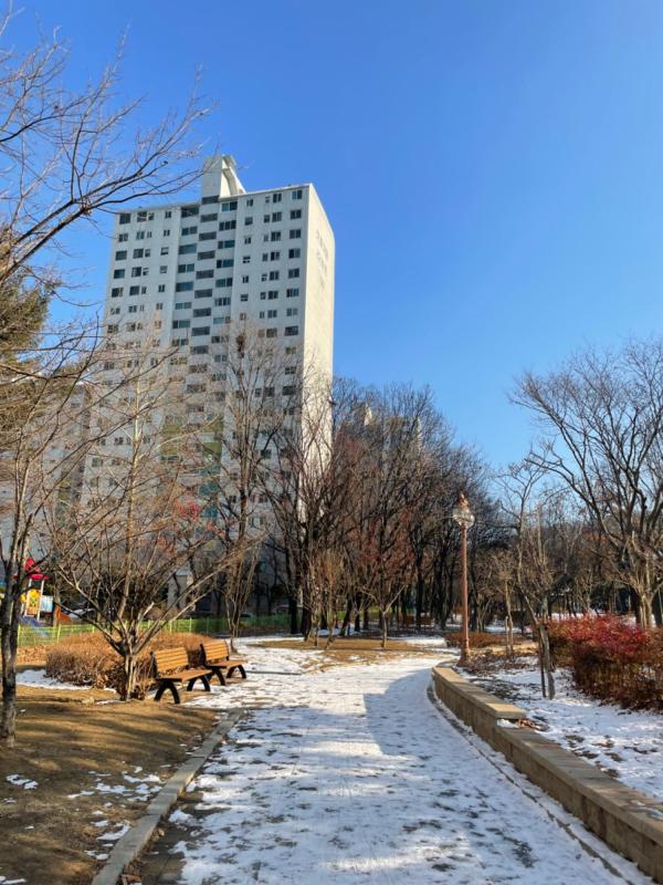 콩이