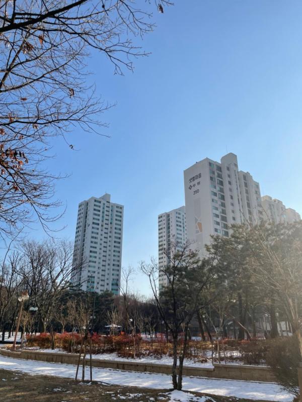 콩이