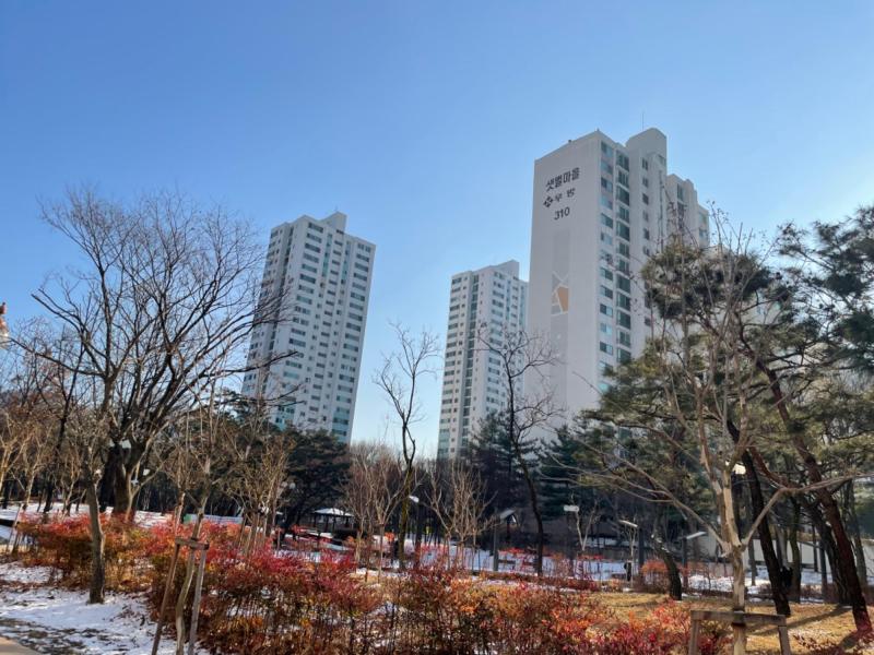 콩이