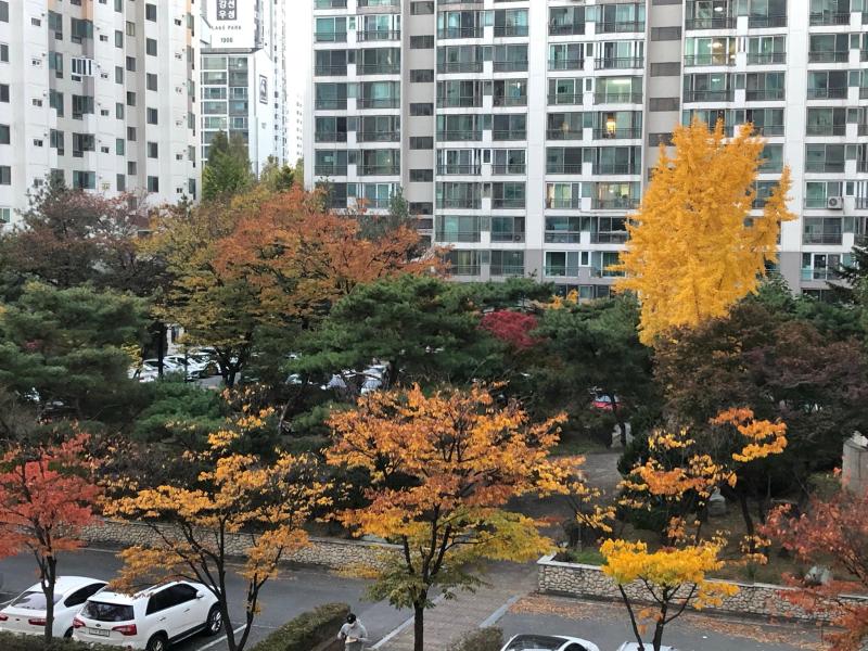 컨텐츠파일