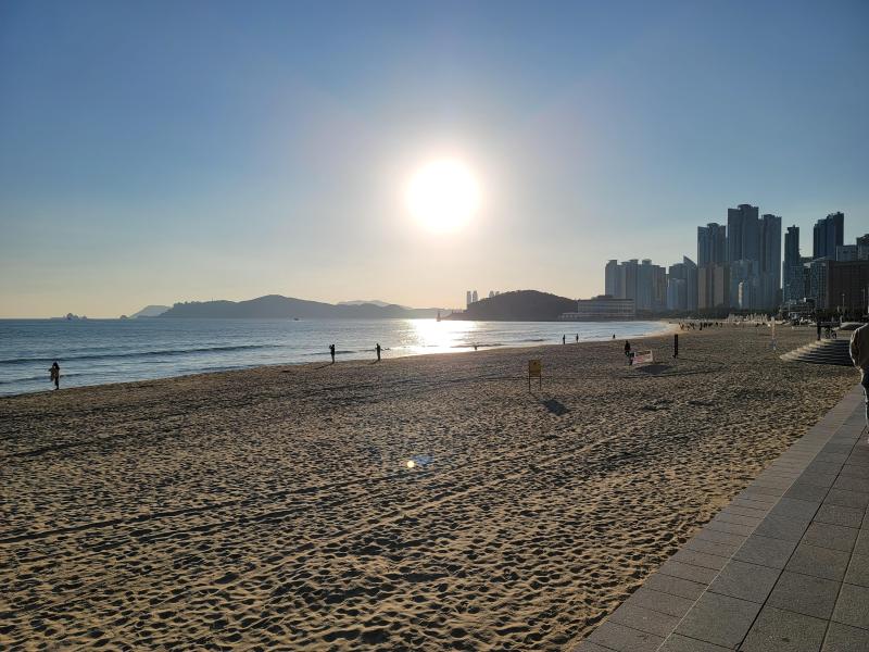 컨텐츠파일