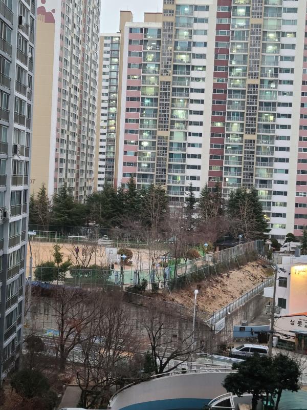 컨텐츠파일