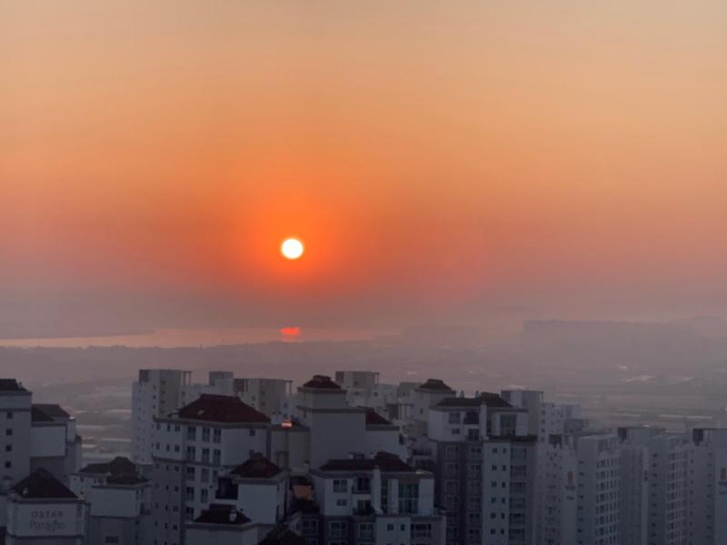 컨텐츠파일
