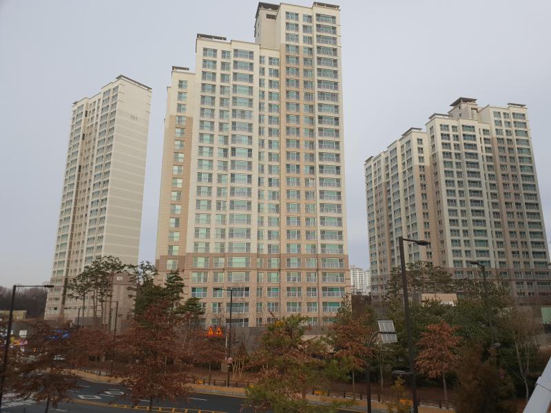 드림이