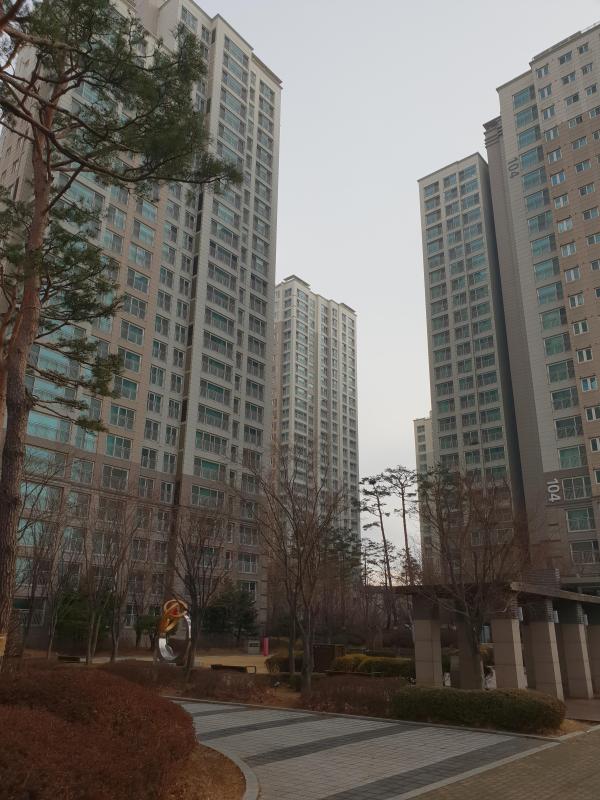 드림이