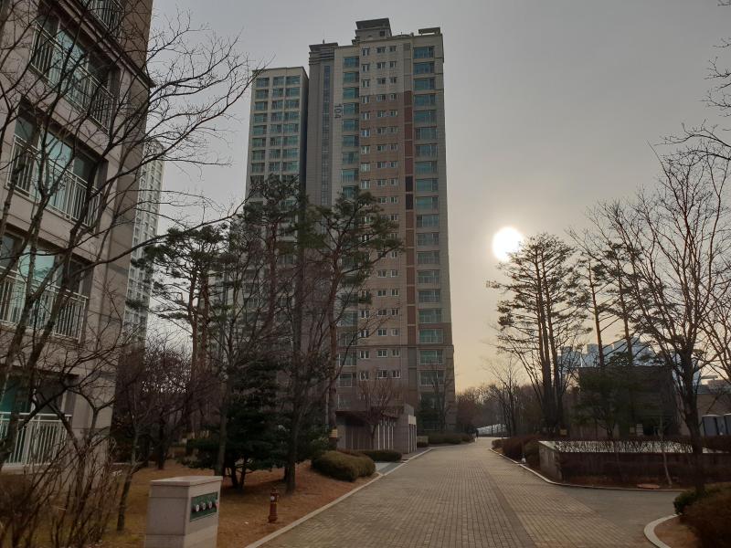 드림이